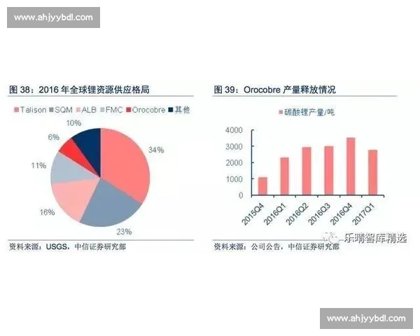 阿根廷对阵比利时赛前预测分析胜负走势与关键因素战术博弈与球星表现解读